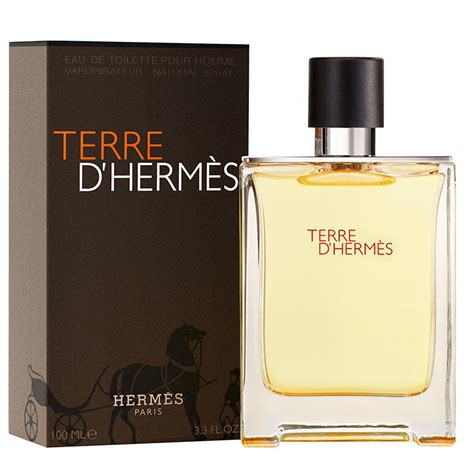 terre d hermes uomo 100 ml|terre d'hermes best price.